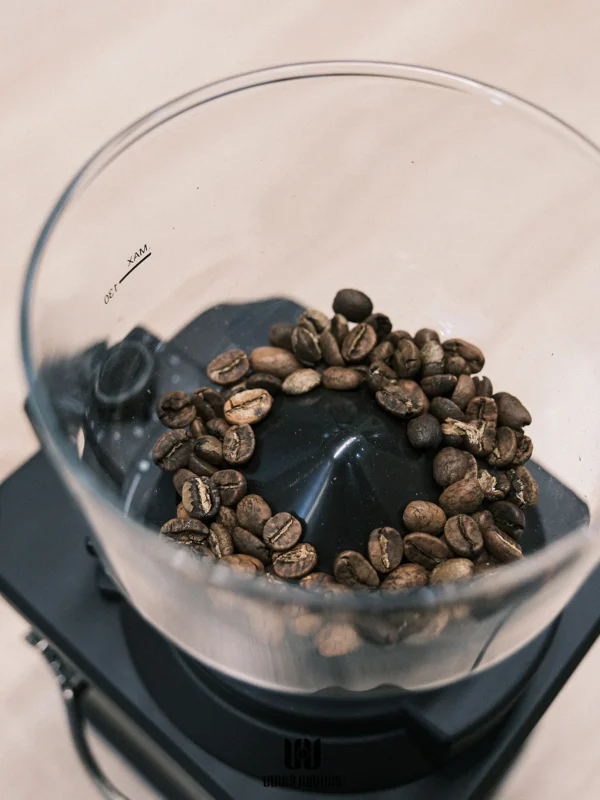 WCG 130 Coffee Grinder
